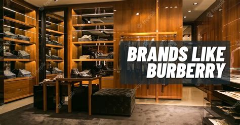 brands similar to burberry|burberry knock offs.